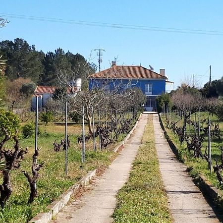 Casa Azul Tomar Prive Vakantiehuis Екстер'єр фото