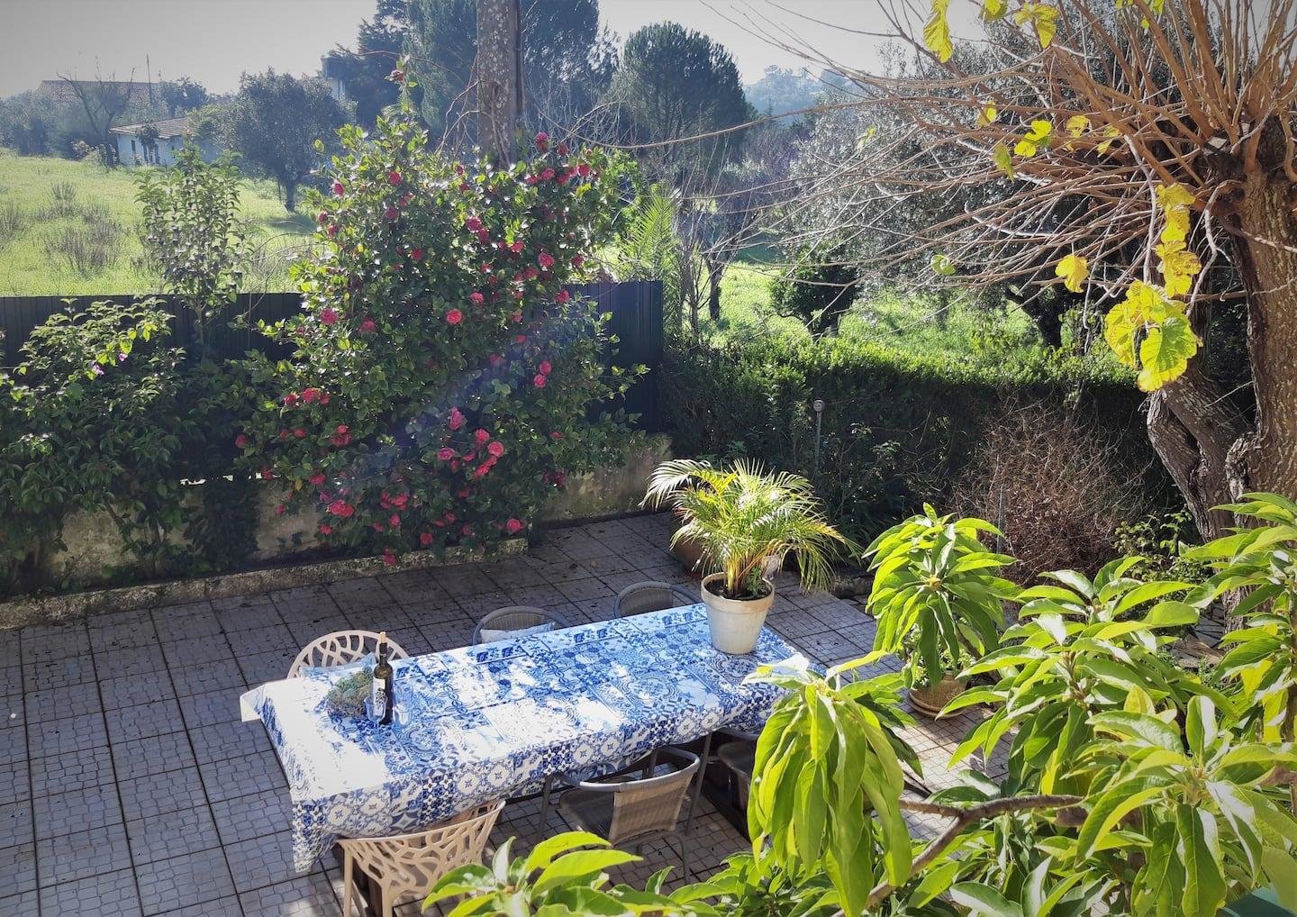Casa Azul Tomar Prive Vakantiehuis Екстер'єр фото