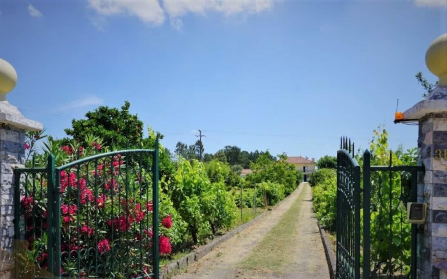 Casa Azul Tomar Prive Vakantiehuis Екстер'єр фото
