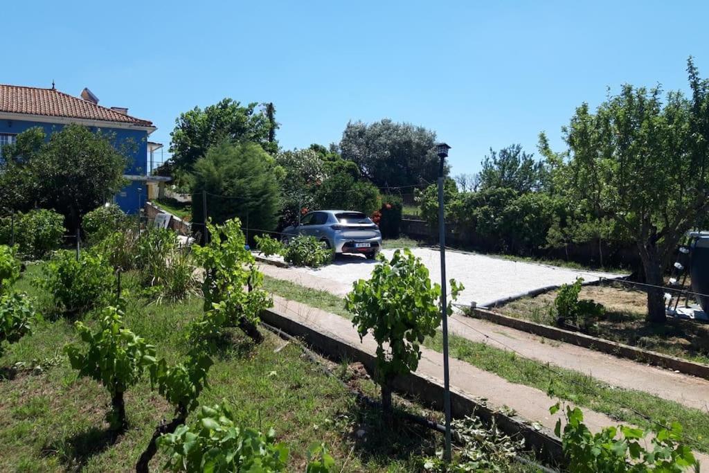 Casa Azul Tomar Prive Vakantiehuis Екстер'єр фото