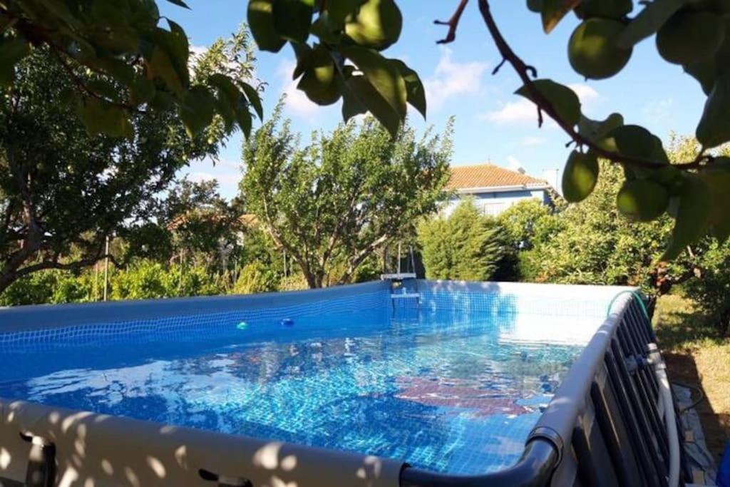Casa Azul Tomar Prive Vakantiehuis Екстер'єр фото